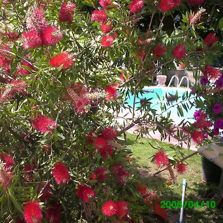 B&B Desenzano Desenzano del Garda Exterior photo