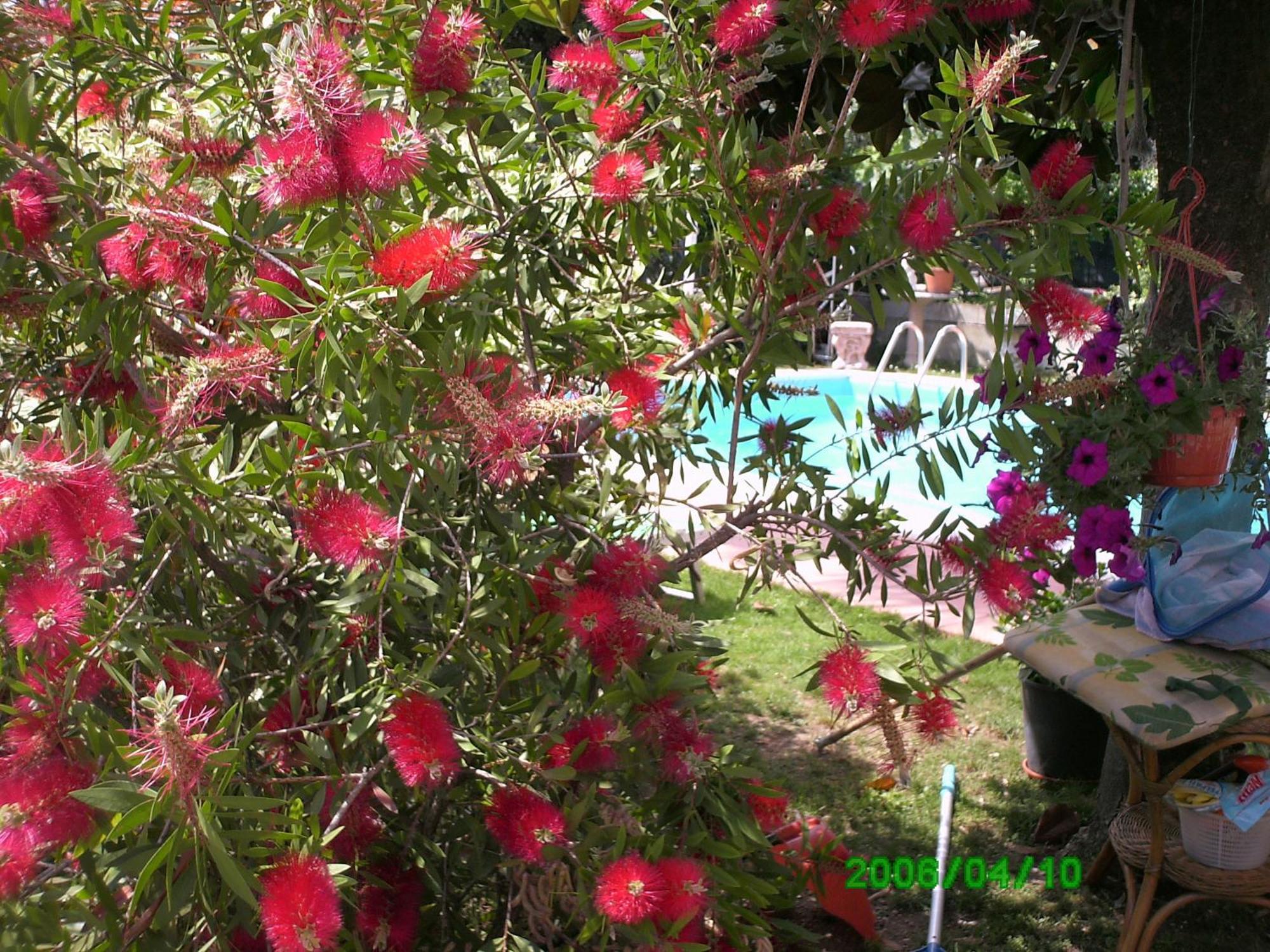 B&B Desenzano Desenzano del Garda Exterior photo